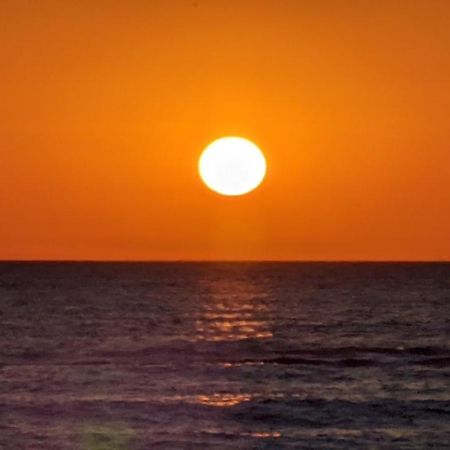 Nieuw Strand Petten Dış mekan fotoğraf